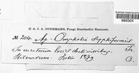 Image Associated With the Occurence